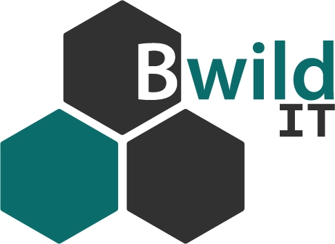 Logo de Bwild IT